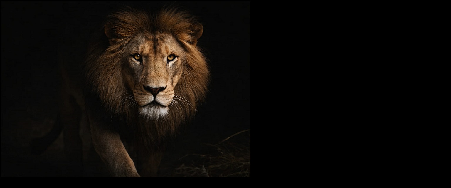 Mercado reagindo ao medo